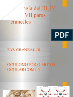 Pares craneales III-VII: funciones y patologías