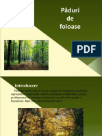 Paduri-De-Foioase 01-1