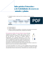 Actividades Práctica de Carbohidrato. Eq.10