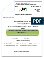 Memoire de Fin D'etude Tizi Wazou PDF