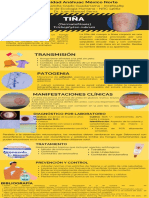 Infografía Dermatofitosis Práctica 7y8 - Andrea Grado