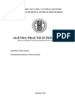 Portofoliu Practica Pedagogica FINALa-2