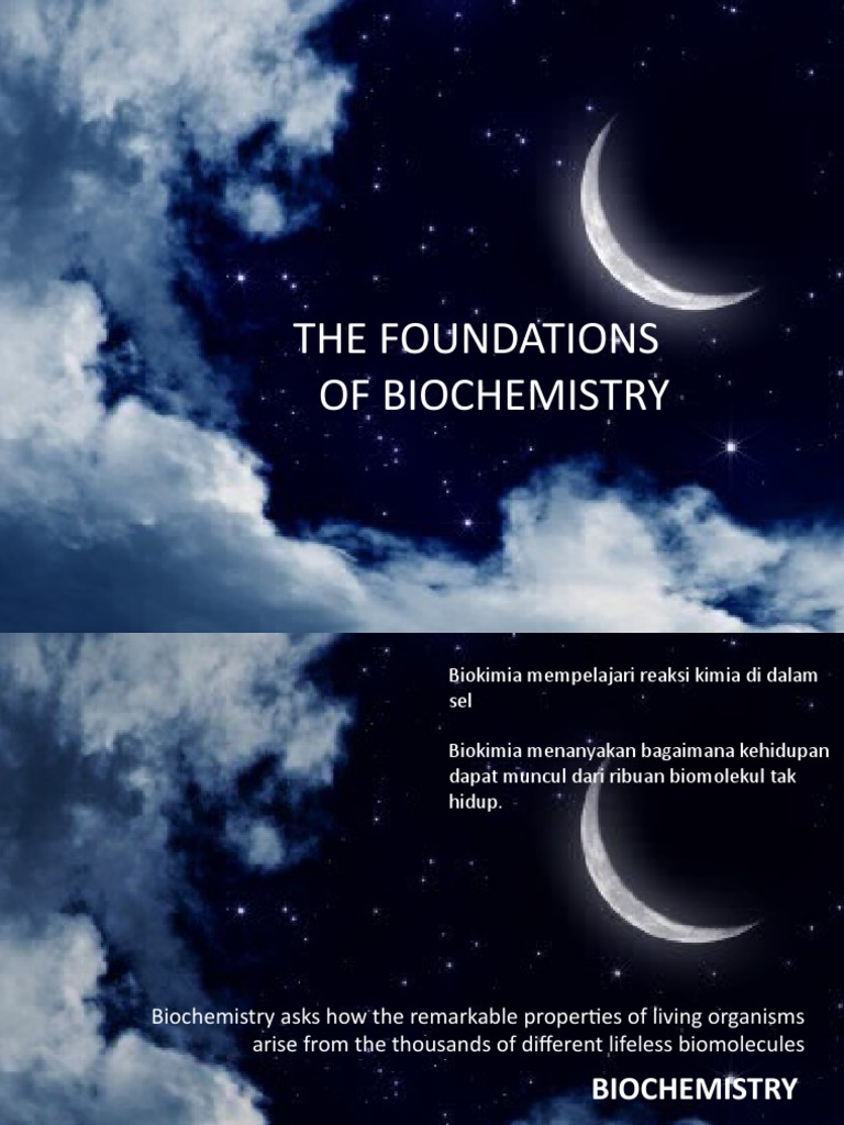 Chapter 1 The Foundations of Biochemistry PT 2 | PDF | Memasak, Makanan ...