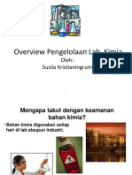 Overview Pengel Lab PDF