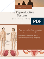 The Reproductive System PDF