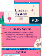 Urinary System: BS-Radiologic Technology 2-1