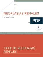 S36. Neoplasias Renales