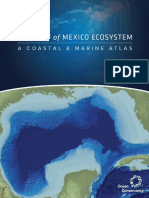 Gulf Atlas PDF