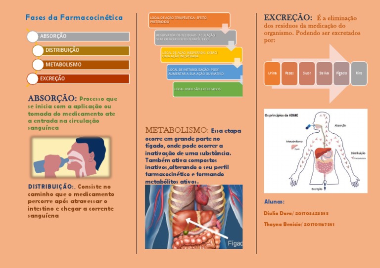 Fases Da Farmacocinética PDF