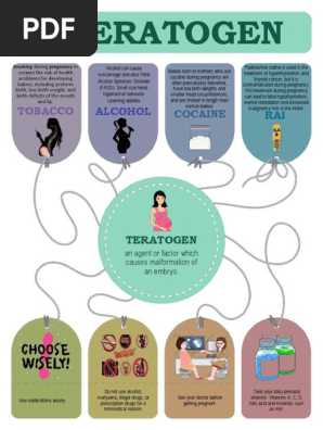 is tobacco a teratogen Environmental Risks to Prenatal Development Prenatal Tobacco Exposure and Brain