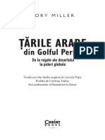 Tarile Arabe in Golful Persic PDF