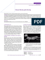 Diagnosa_Radiografi_Kasus_Hernia_pada_Kucing.pdf