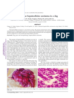 Trabecular Hepatocellular Carcinoma in A Dog