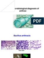 Theme: Microbiological Diagnosis of Anthrax