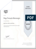 Diego Fernando Montenegro: Course Certificate