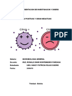 Bacterias Gram Positivas y Negativas