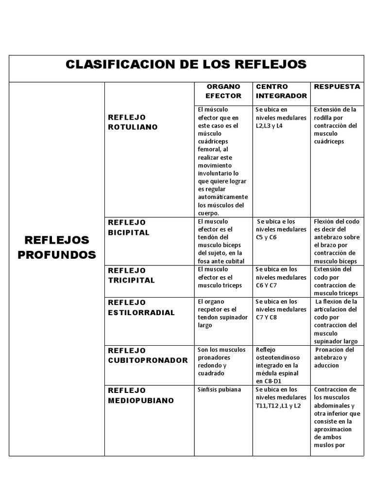 Los Reflejos Del Cuerpo Humano – Reflejos Del Cuerpo – UZFZIO