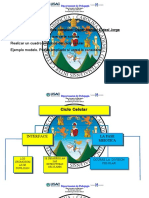 Ciclo Celular