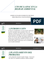 Diapositivas IFAC