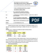 Informe Auditoria 2020