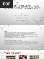 Structure and Composition of Meat | PDF | Connective Tissue | Meat