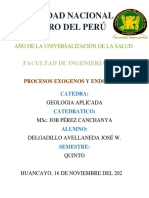 Procesos Exógenos y Endógenos-Delgadillo Avellaneda Jose PDF