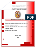 Superficie Especifica PDF