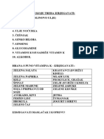 Preporuke PDF