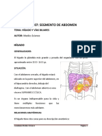 7 - Abdomen 2017