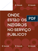 Disparidades raciais no serviço público brasileiro
