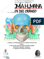 folleto-de-huesos-del-craneo-por-carlos-andres-garcia-1-downloable.pdf