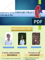 KIDNEY AND URINARY TRACT PROBLEMS Edited (Autosaved)