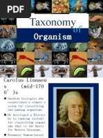 BIO-Taxon