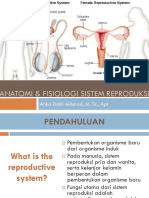 Anatomi Fisiologi Sistem Reproduksi