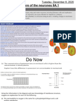 Lesson 8A.1 The Structure of The Neurones S