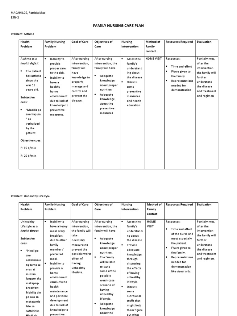 Family Nursing Care Plan PDF Nursing Health Care