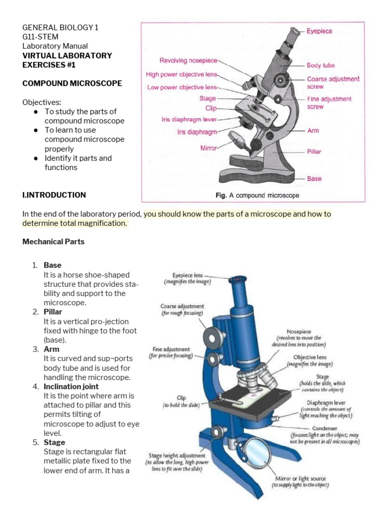 Biology Lab: Microscope Functions Guide | PDF | Microscope | Laboratory ...