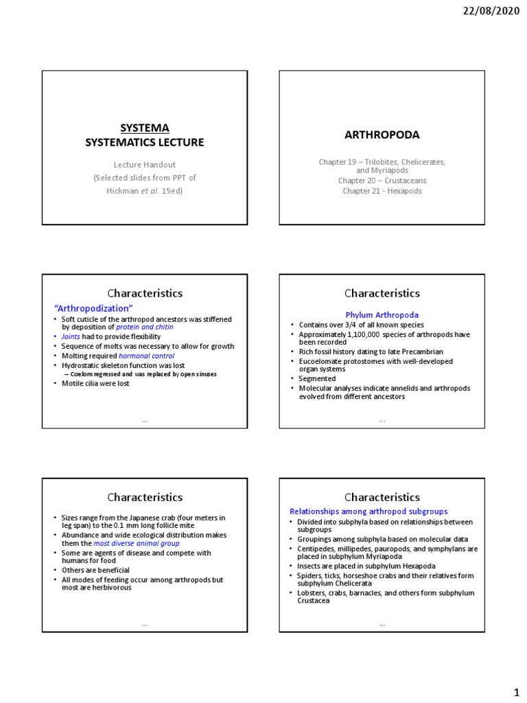 Arthropod Systematics Lecture | PDF | Spider | Arthropods