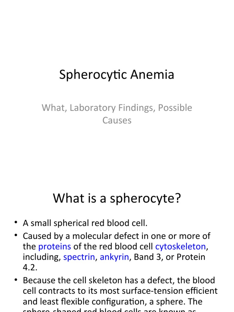 Spherocytic Anemia PDF Immunology Anemia