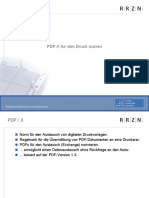 PDF Druck Norm