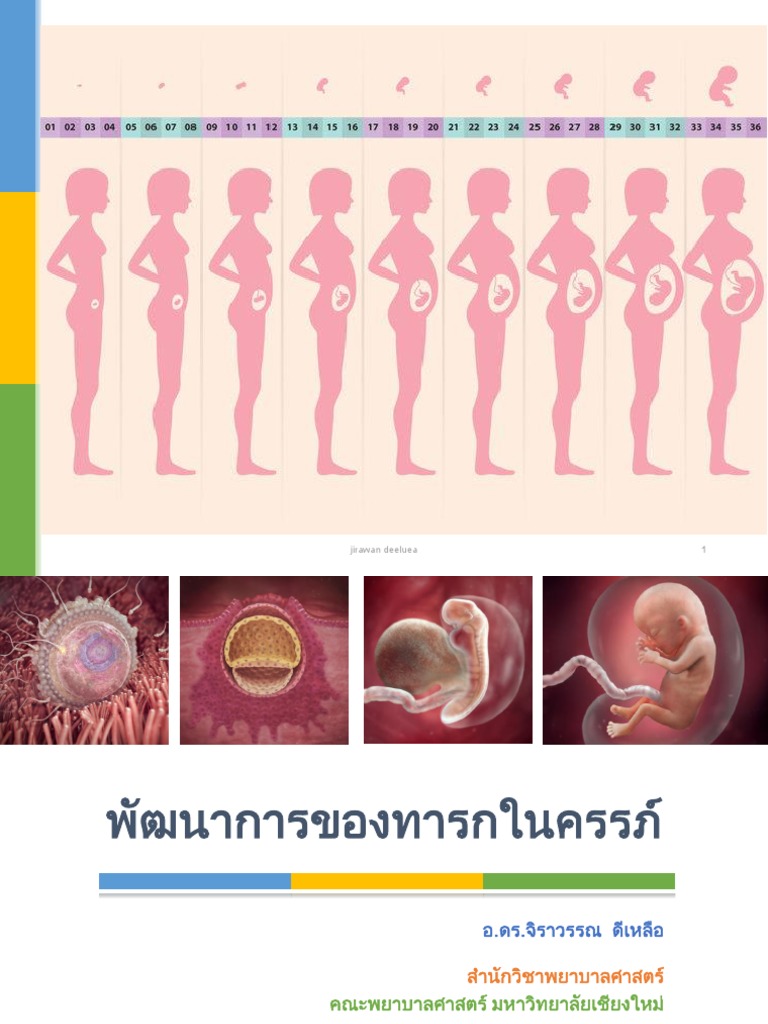 Fetal Growth and Development - 1-2561 | PDF