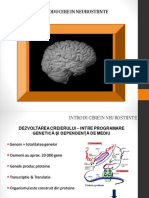 Introducere in Neurostiinte Curs 42083984805610153678 PDF