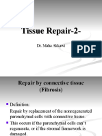 Tissue Repair-2