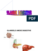 Glande didestive.pdf