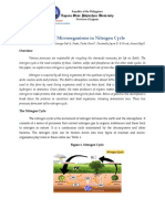 Nitrogen Cycle