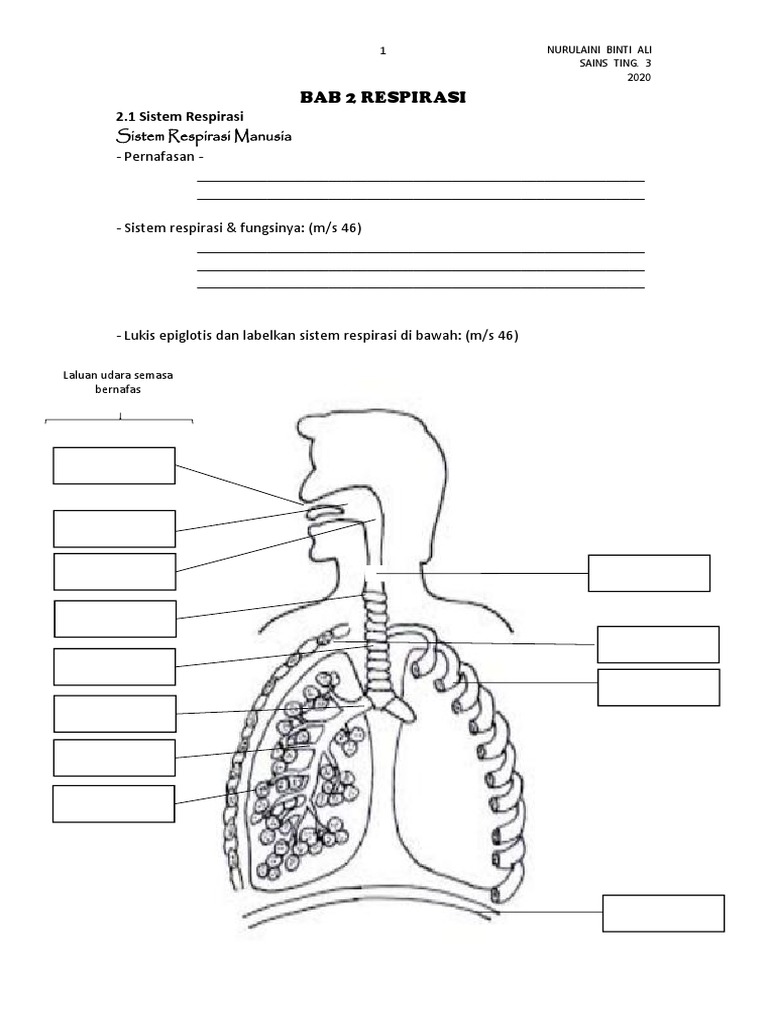 Modul Bab 2 Tingkatan 3 Kssm Pdf