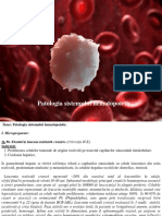 12 Patologia Sistemului Hematopoietic - 28347