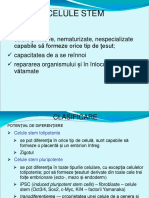 Celule Stem PDF