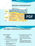 Matricea Extracelulara Si Caderinele PDF