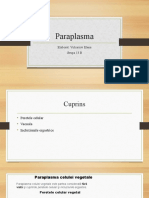 Paraplasma